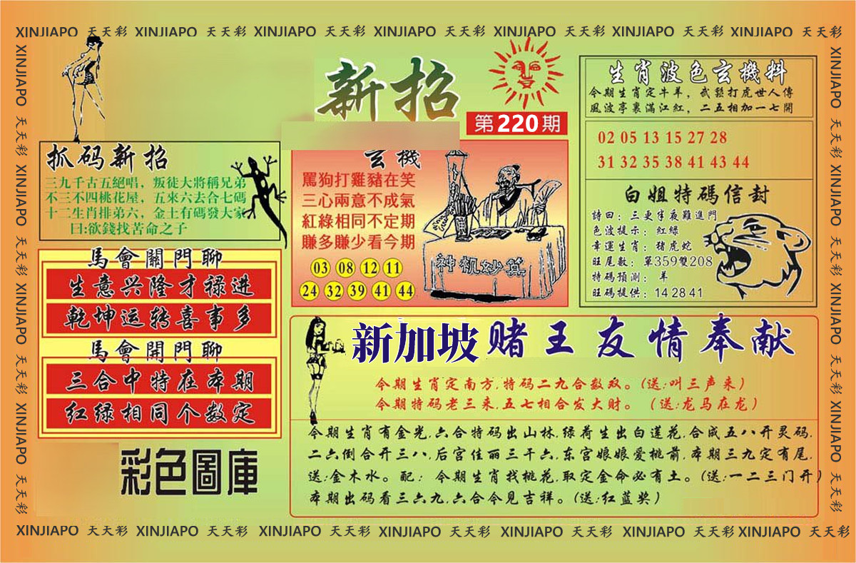抓码新招
